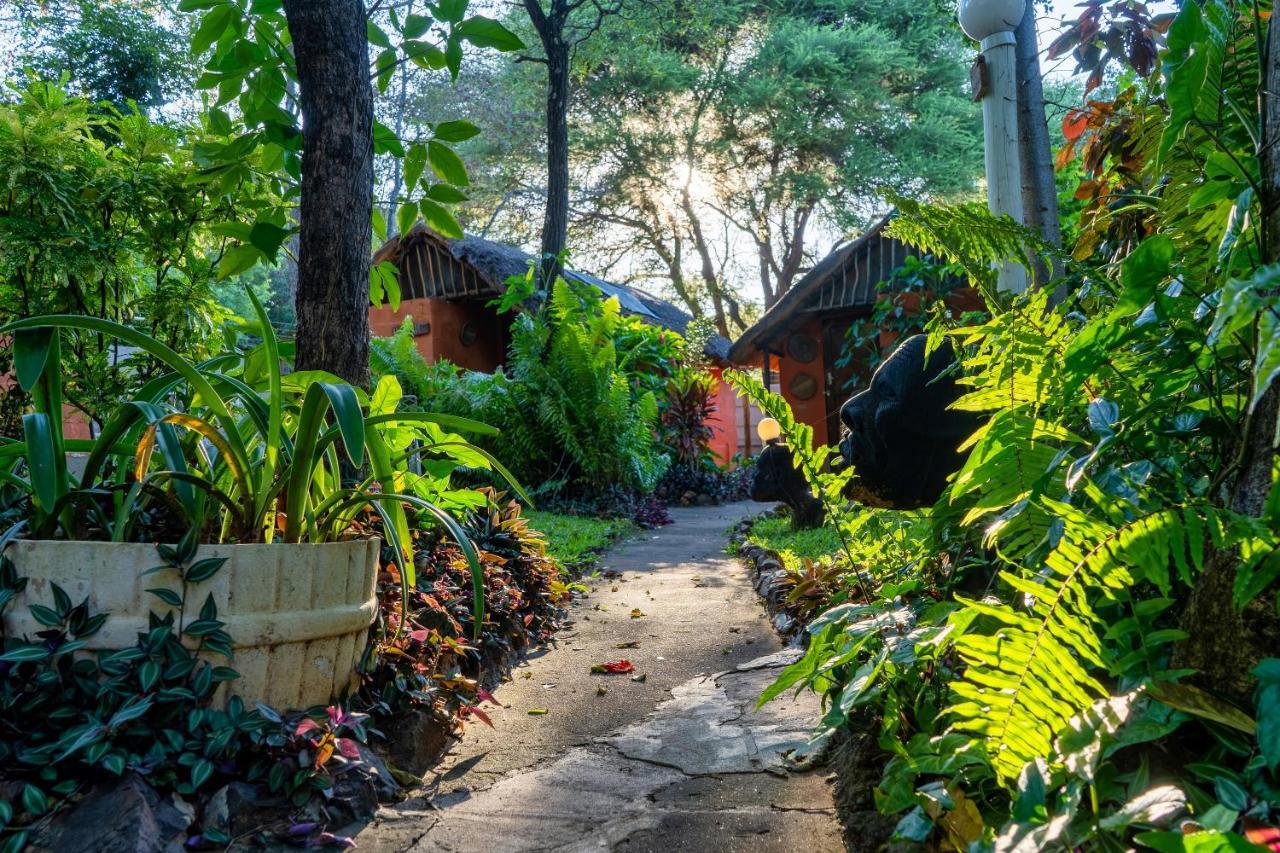 Victoria Falls Backpackers Lodge מראה חיצוני תמונה