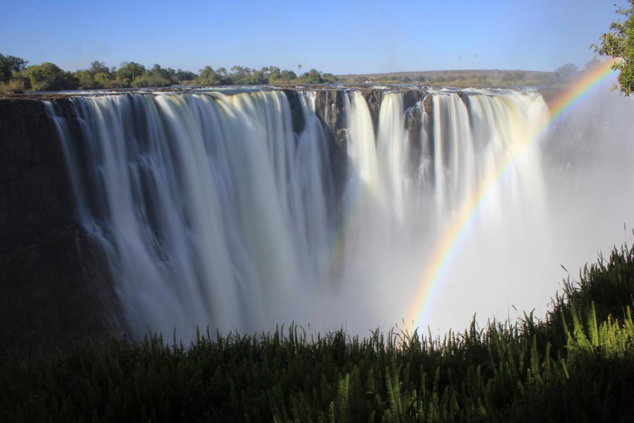 Victoria Falls Backpackers Lodge מראה חיצוני תמונה