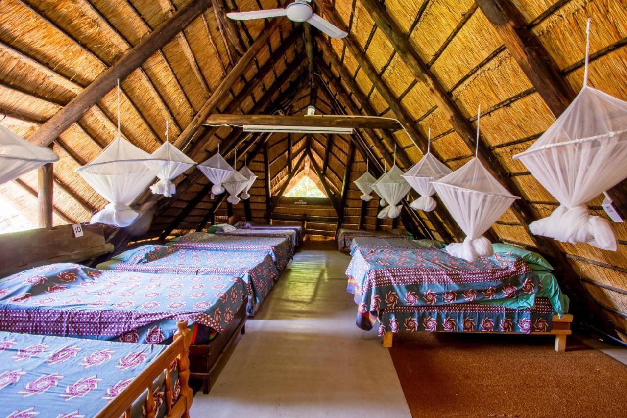 Victoria Falls Backpackers Lodge מראה חיצוני תמונה