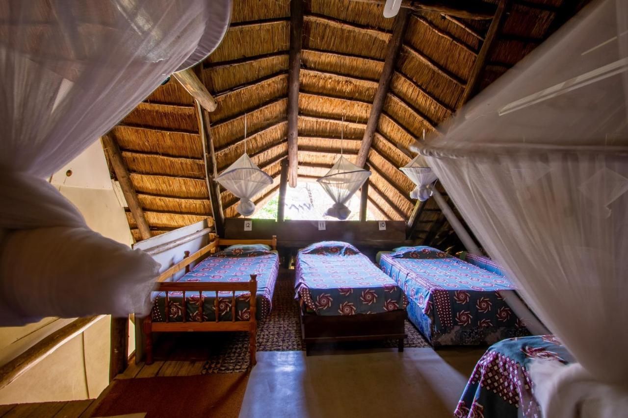 Victoria Falls Backpackers Lodge מראה חיצוני תמונה