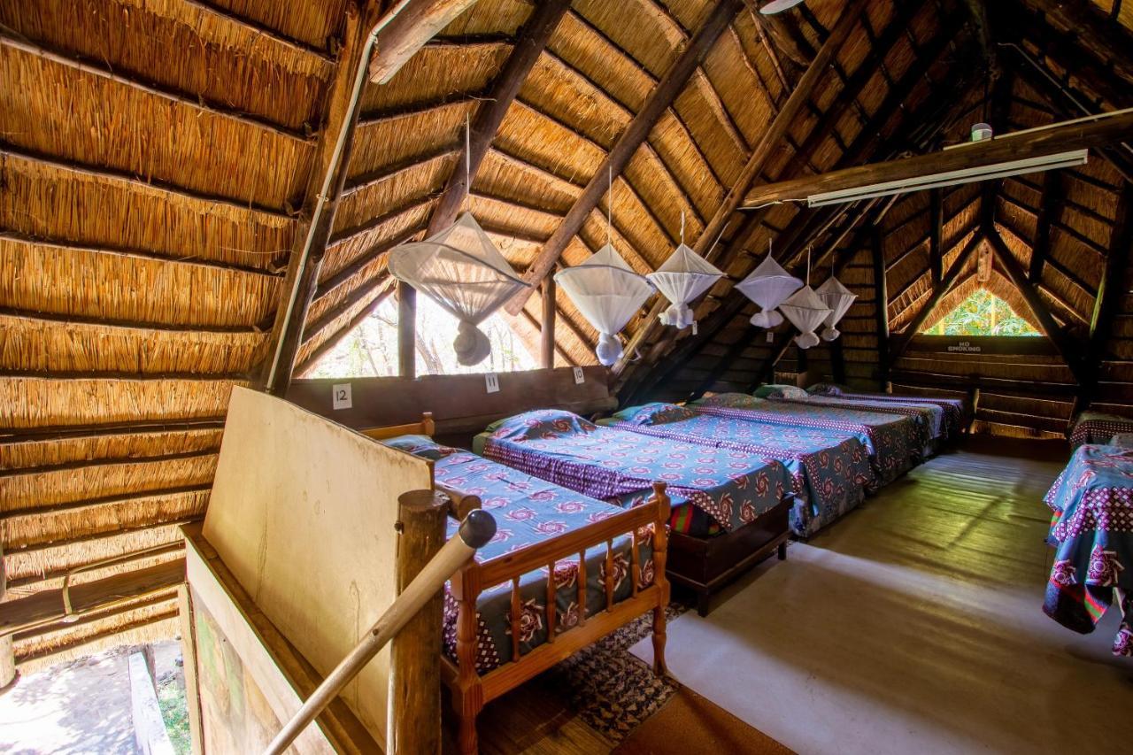 Victoria Falls Backpackers Lodge מראה חיצוני תמונה