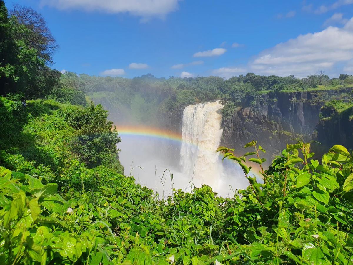 Victoria Falls Backpackers Lodge מראה חיצוני תמונה