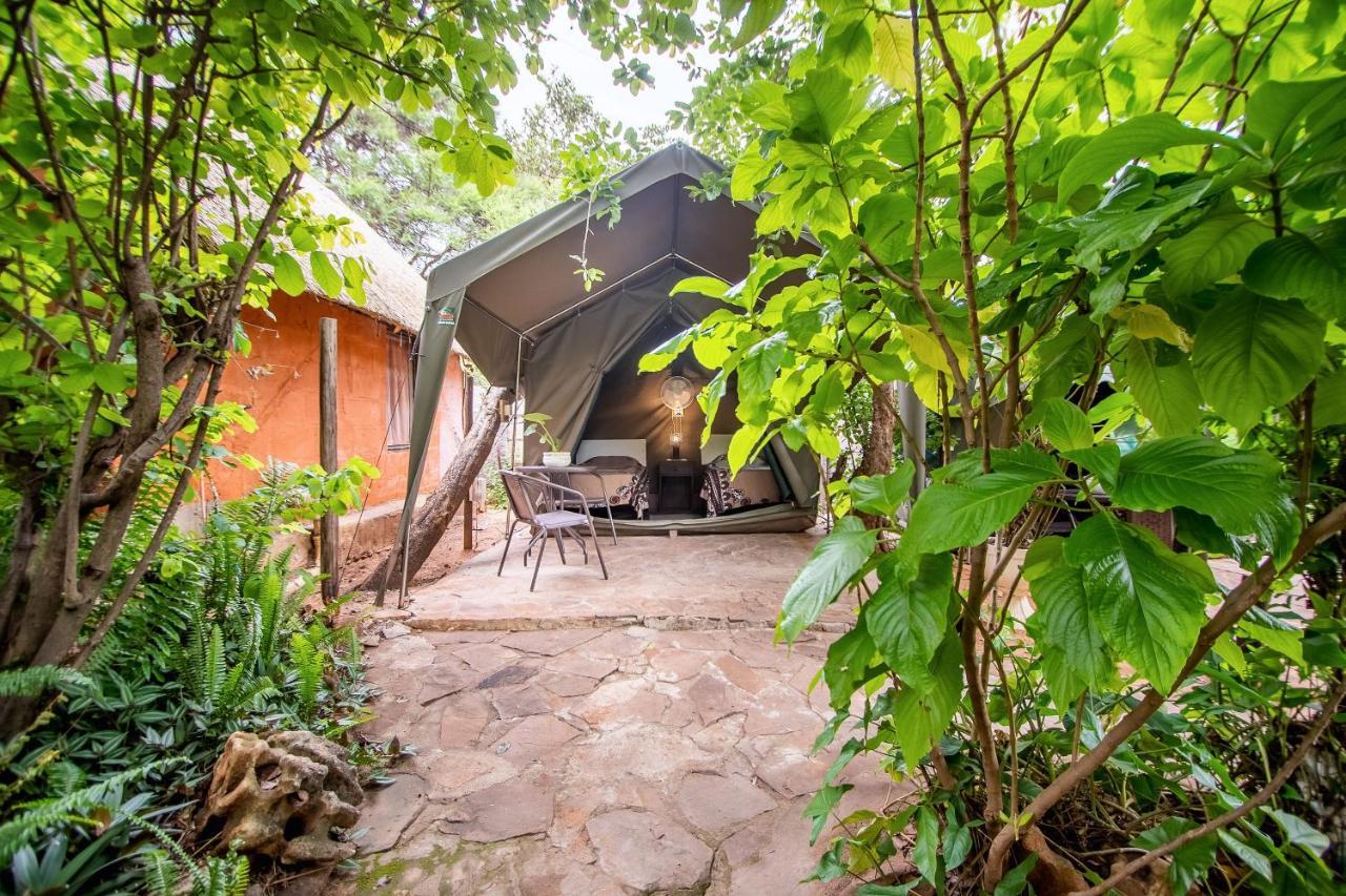 Victoria Falls Backpackers Lodge מראה חיצוני תמונה