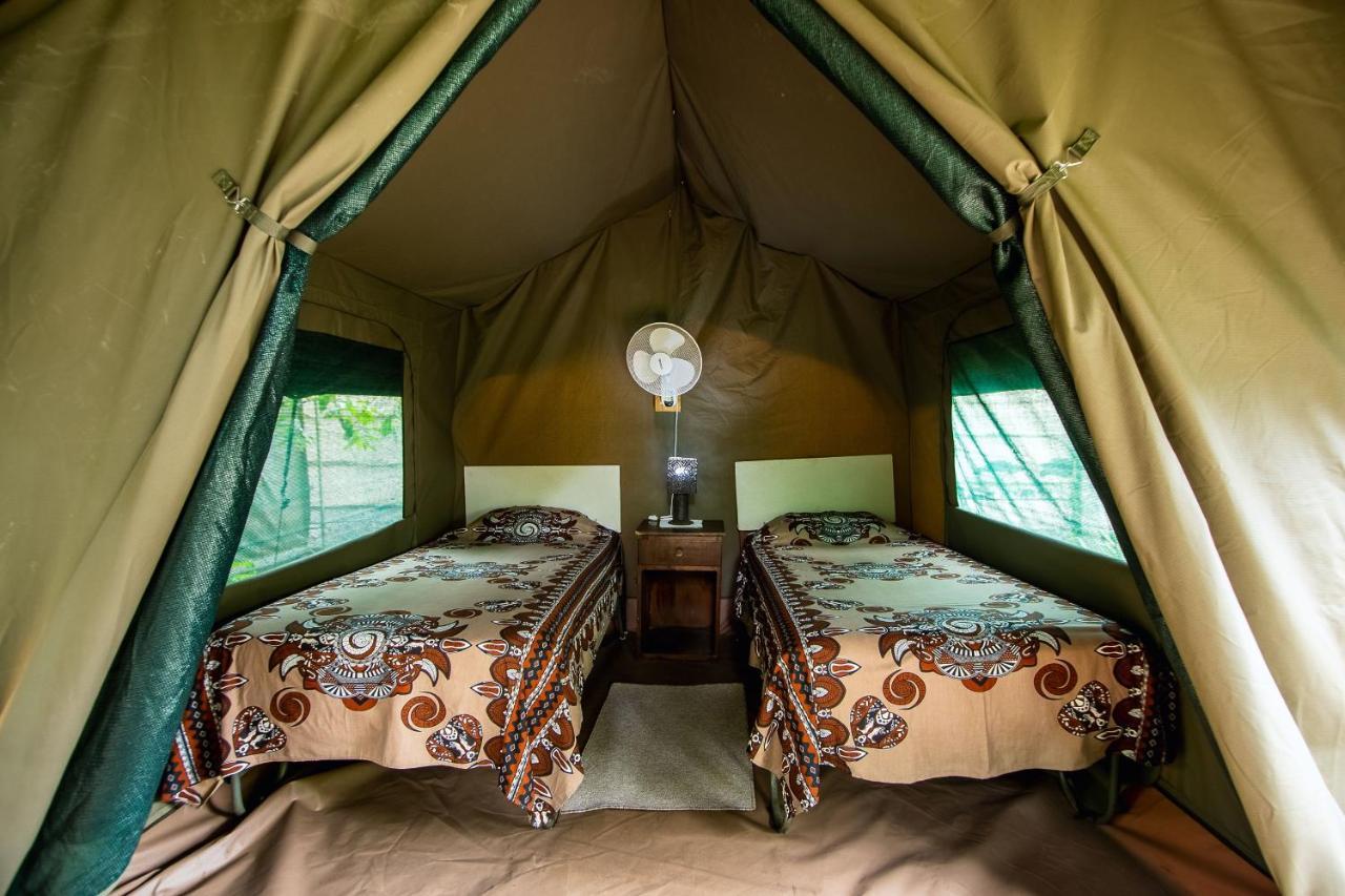 Victoria Falls Backpackers Lodge מראה חיצוני תמונה