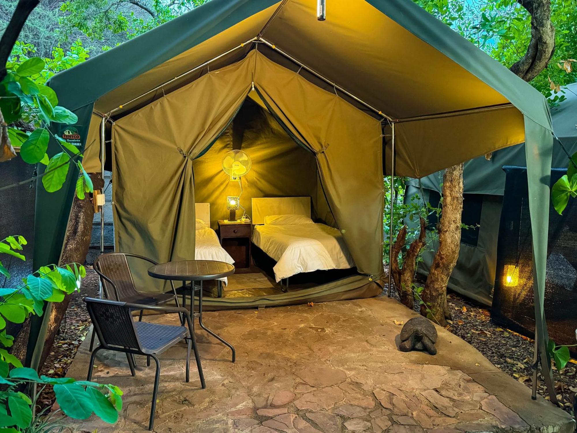 Victoria Falls Backpackers Lodge מראה חיצוני תמונה