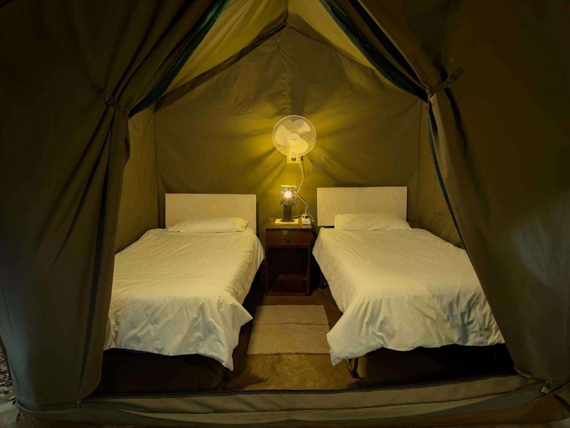Victoria Falls Backpackers Lodge מראה חיצוני תמונה