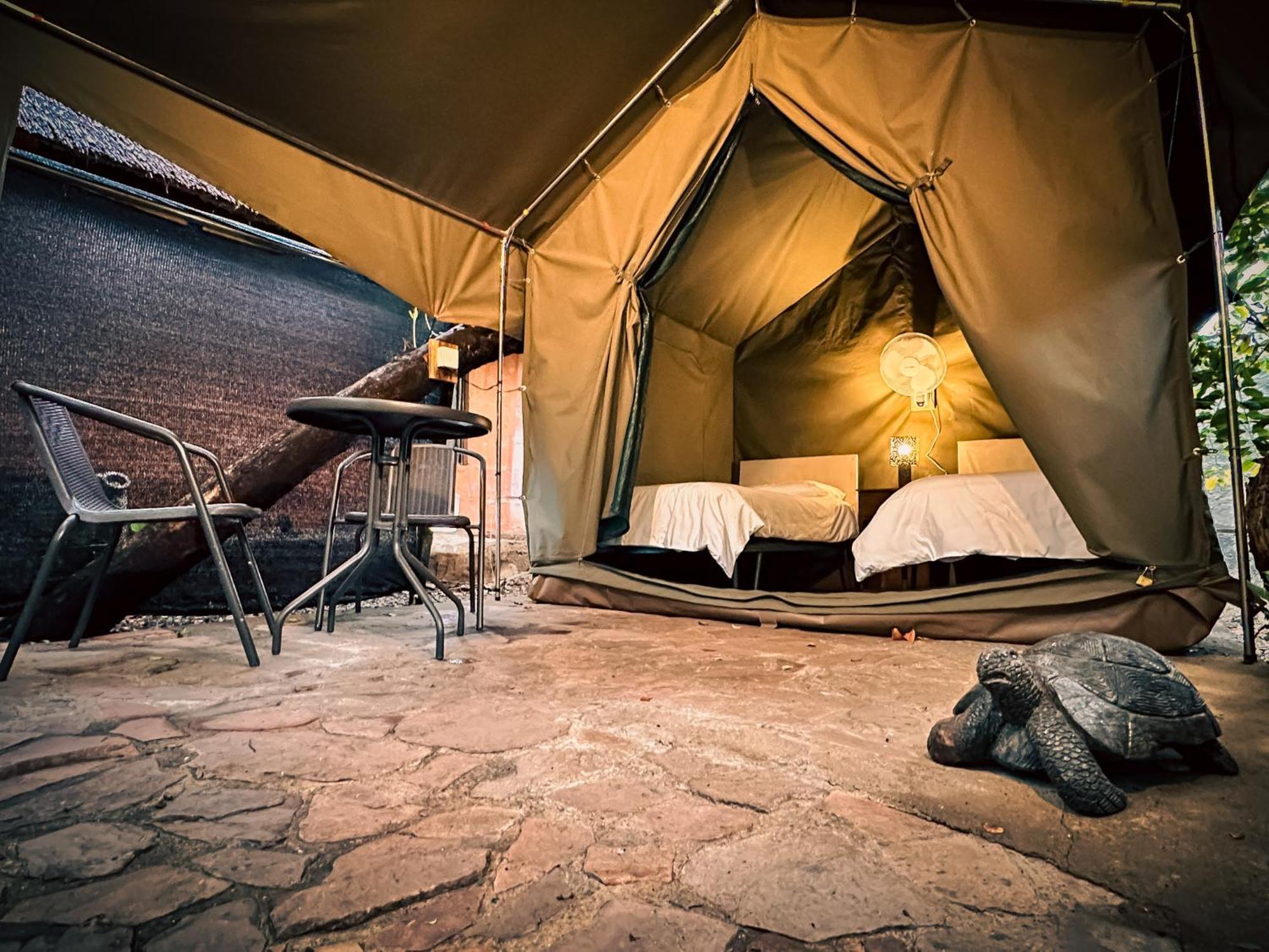 Victoria Falls Backpackers Lodge מראה חיצוני תמונה