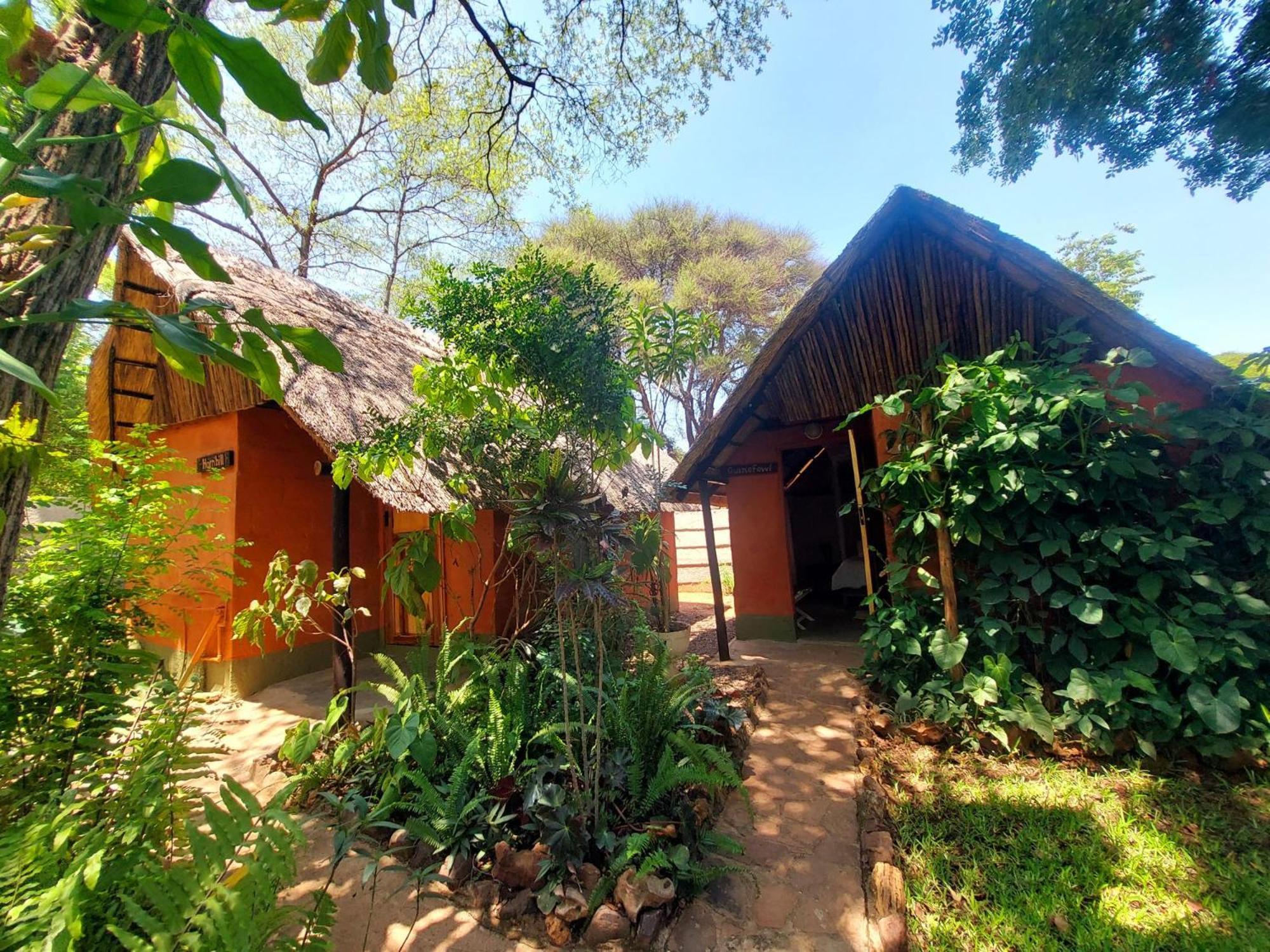 Victoria Falls Backpackers Lodge מראה חיצוני תמונה