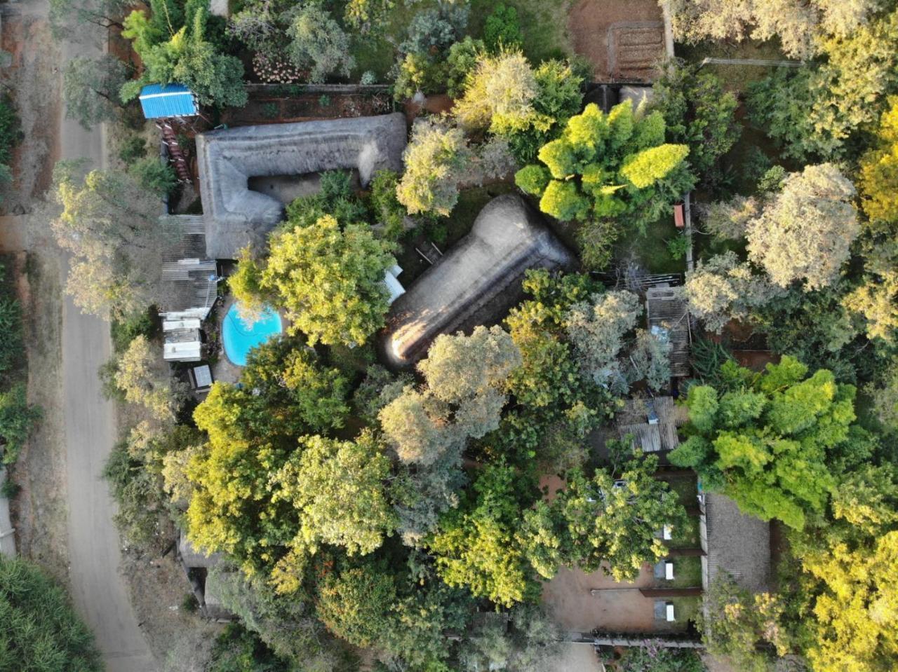 Victoria Falls Backpackers Lodge מראה חיצוני תמונה