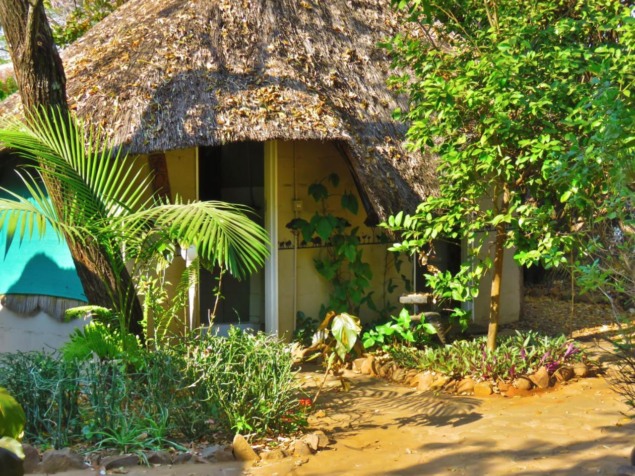 Victoria Falls Backpackers Lodge מראה חיצוני תמונה